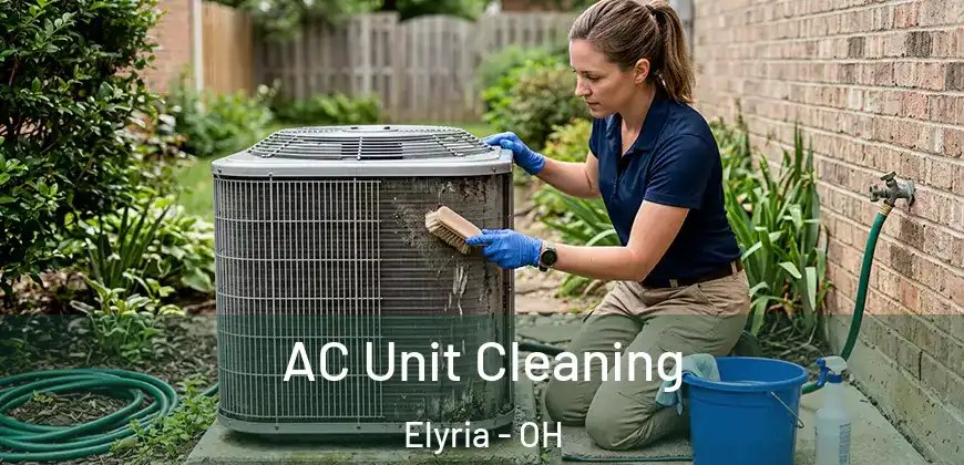  AC Unit Cleaning Elyria - OH